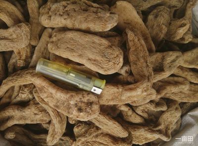 天麻安徽亳州譙城區(qū)_批發(fā)_供應(yīng)-一畝田農(nóng)業(yè)網(wǎng)_專(zhuān)業(yè)的農(nóng)產(chǎn)品信息商務(wù)平臺(tái)