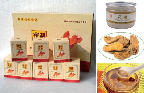 項目內(nèi)容 燕...寧強(qiáng)縣天麻食藥產(chǎn)品開發(fā)項目 寧強(qiáng)縣人民政府