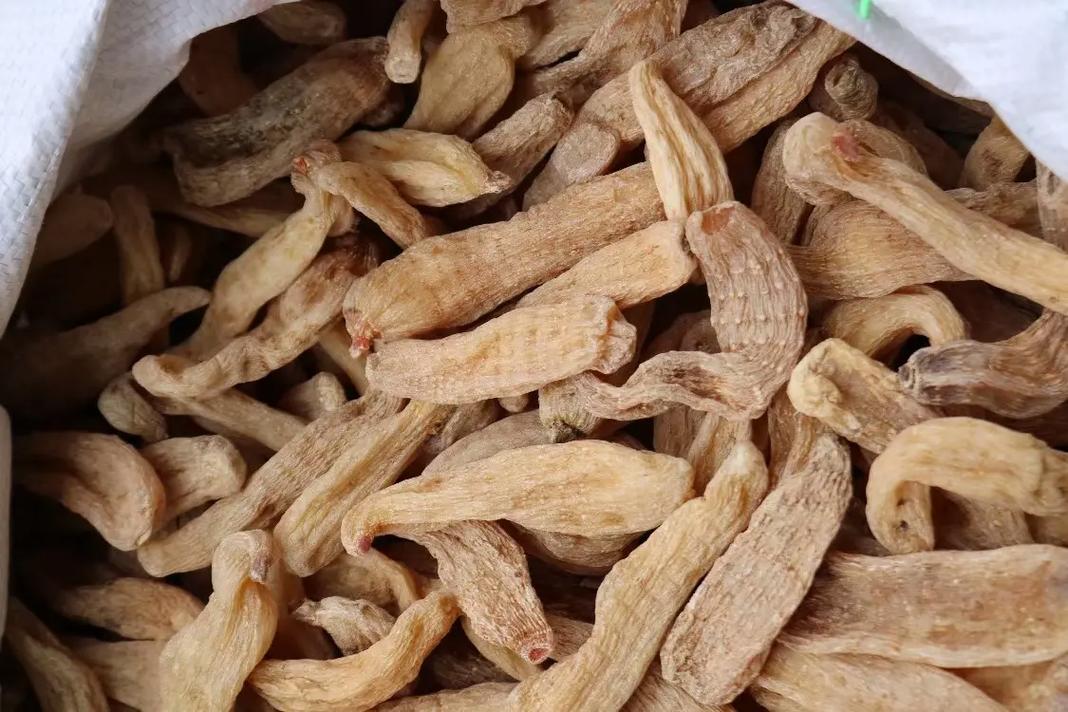 40頭云南麗江中號紅天麻,1斤93,5斤88,10斤83,3